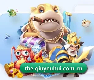 the-qiuyouhui.com.cn的故事 - 体育资讯内容服务